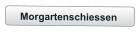 Morgartenschiessen