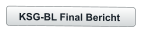 KSG-BL Final Bericht