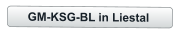 GM-KSG-BL in Liestal