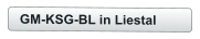 GM-KSG-BL in Liestal