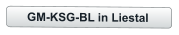 GM-KSG-BL in Liestal