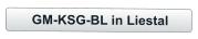 GM-KSG-BL in Liestal