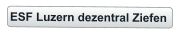 ESF Luzern dezentral Ziefen
