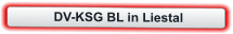 DV-KSG BL in Liestal