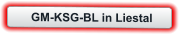GM-KSG-BL in Liestal