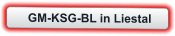 GM-KSG-BL in Liestal