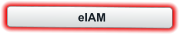 eIAM