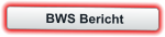 BWS Bericht