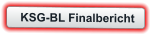 KSG-BL Finalbericht