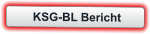 KSG-BL Bericht