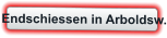 Endschiessen in Arboldsw.