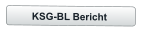 KSG-BL Bericht
