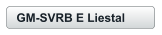 GM-SVRB E Liestal