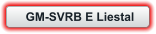 GM-SVRB E Liestal