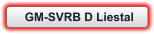 GM-SVRB D Liestal
