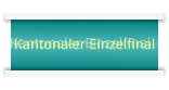 Kantonaler Einzelfinal