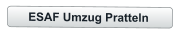 ESAF Umzug Pratteln