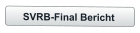 SVRB-Final Bericht