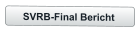 SVRB-Final Bericht