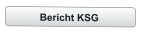 Bericht KSG