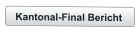 Kantonal-Final Bericht