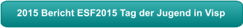 2015 Bericht ESF2015 Tag der Jugend in Visp