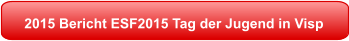 2015 Bericht ESF2015 Tag der Jugend in Visp