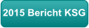 2015 Bericht KSG