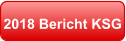 2018 Bericht KSG