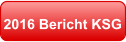 2016 Bericht KSG