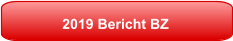 2019 Bericht BZ