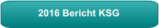 2016 Bericht KSG