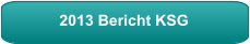 2013 Bericht KSG