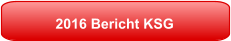 2016 Bericht KSG