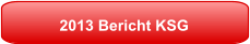 2013 Bericht KSG