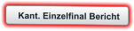 Kant. Einzelfinal Bericht
