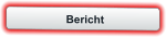 Bericht