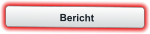 Bericht