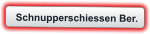 Schnupperschiessen Ber.